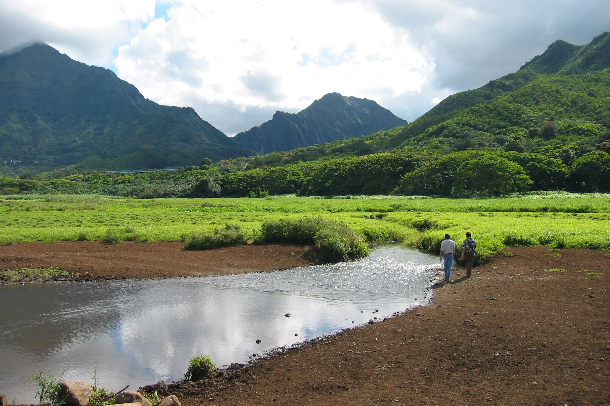 kawainui marsh construction management