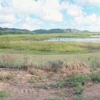 kawainuisiphon