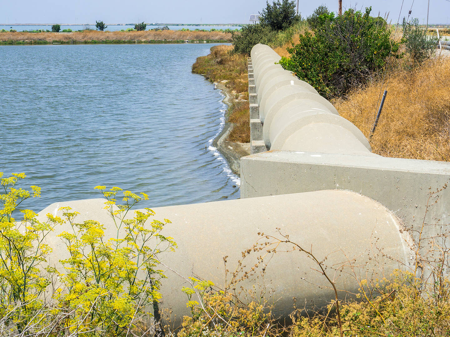 A cement pipe running along a coastline