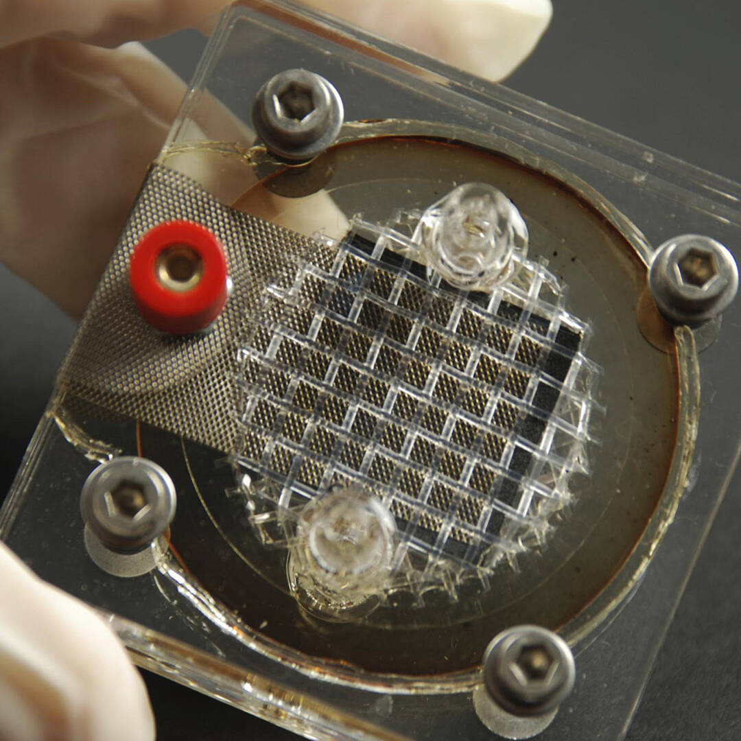 A wire mesh device framed by a plastic casing