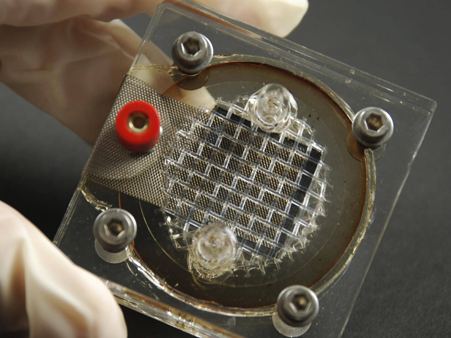 A wire mesh device framed by a plastic casing