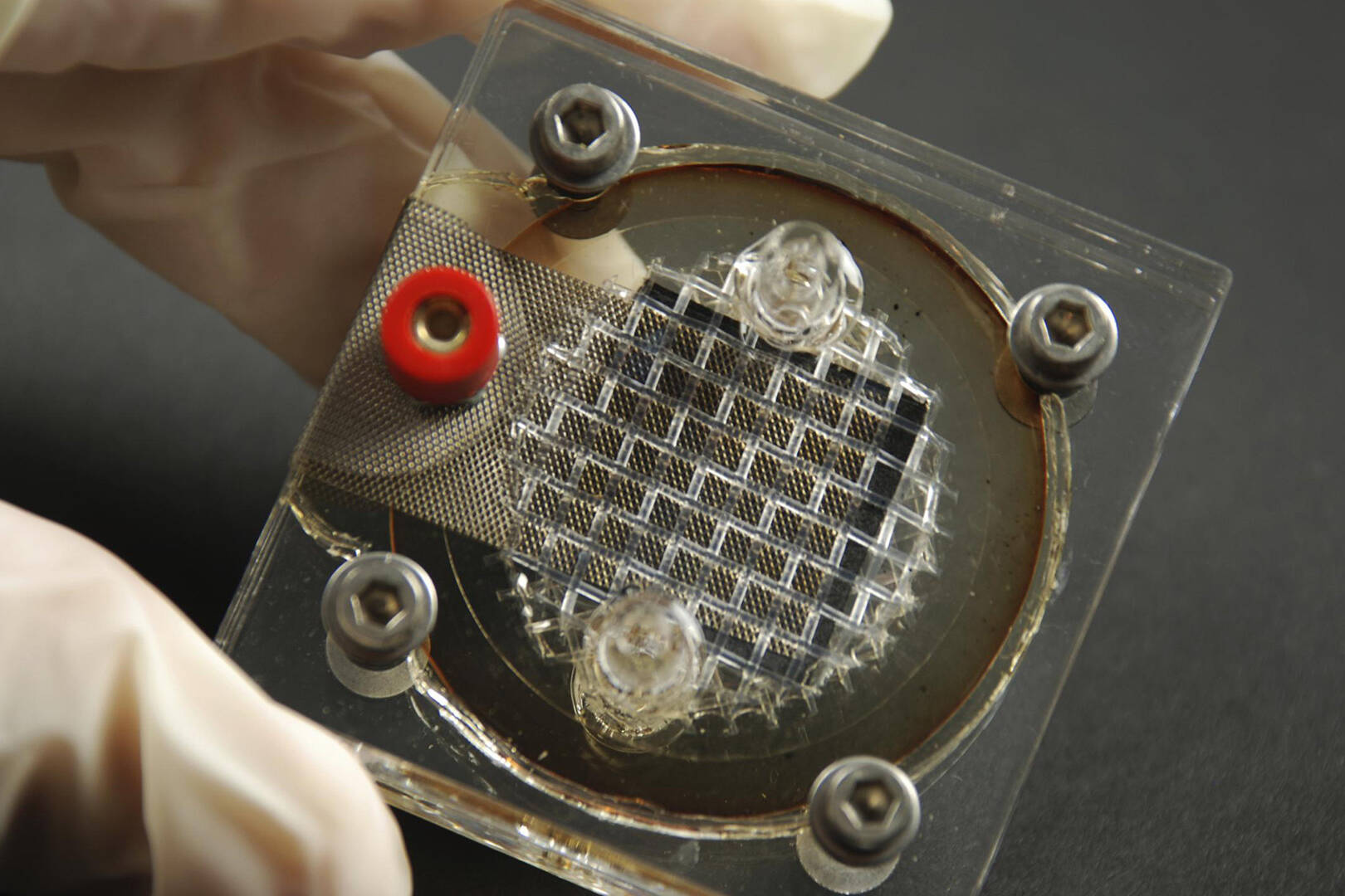 A wire mesh device framed by a plastic casing