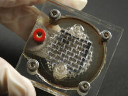 A wire mesh device framed by a plastic casing