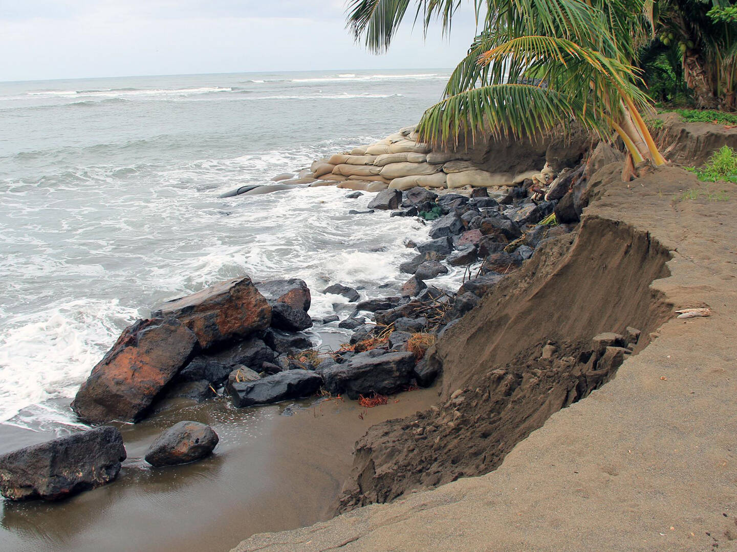 A sharply eroding shoreline in Kauai