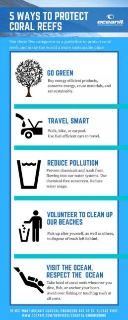 5 ways to protect coral reefs864x2160