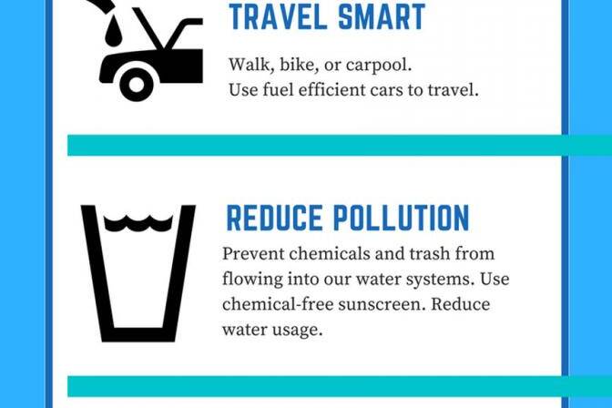 5 ways to protect coral reefs864x2160