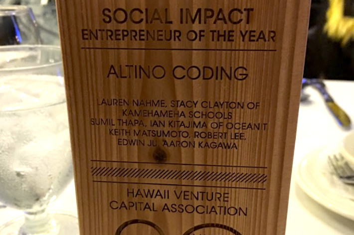 hvca award social entrepreneur award