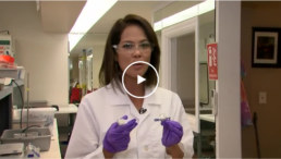 hawaii news now mahealani richardson