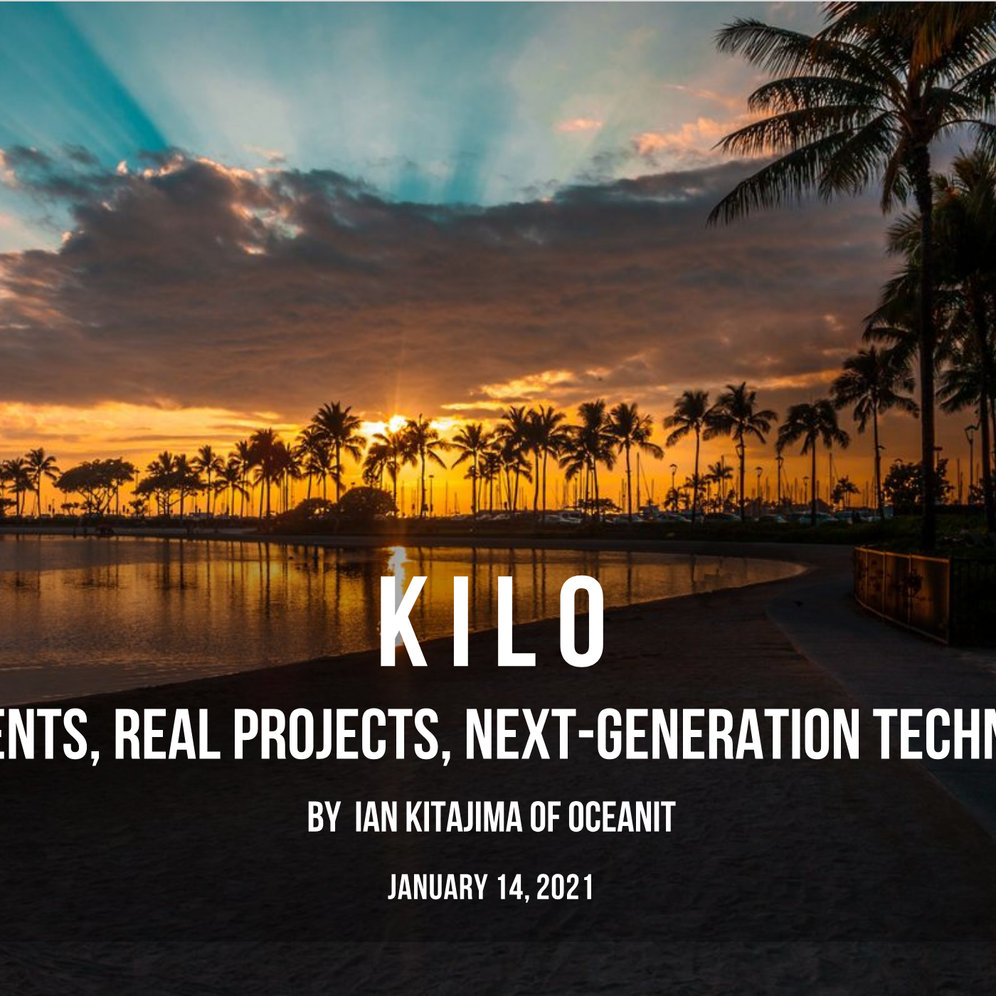 oceanit kilo intern program