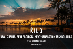 oceanit kilo intern program