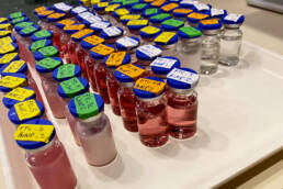 A tray filled with vials with colorful liquid inside