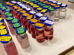 A tray filled with vials with colorful liquid inside