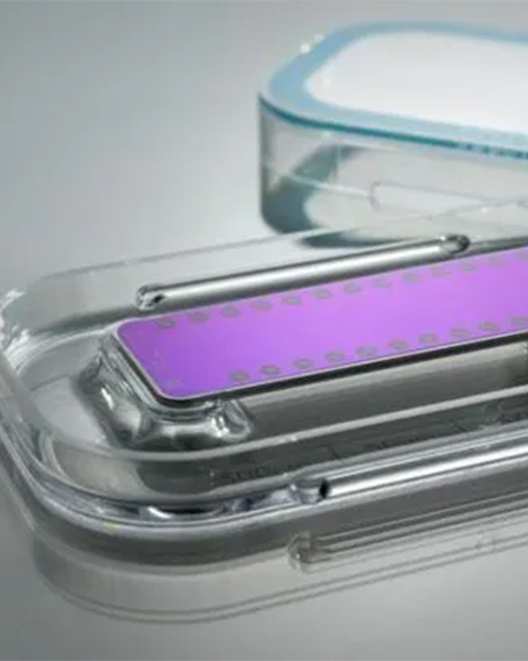 A close up of a plastic object with a purple computer chip