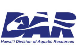 Hawaii DAR logo