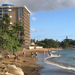 Sandbags along the Kahana Bay shoreline