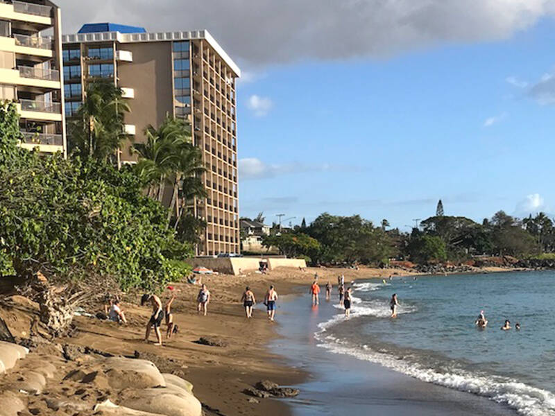 Sandbags along the Kahana Bay shoreline