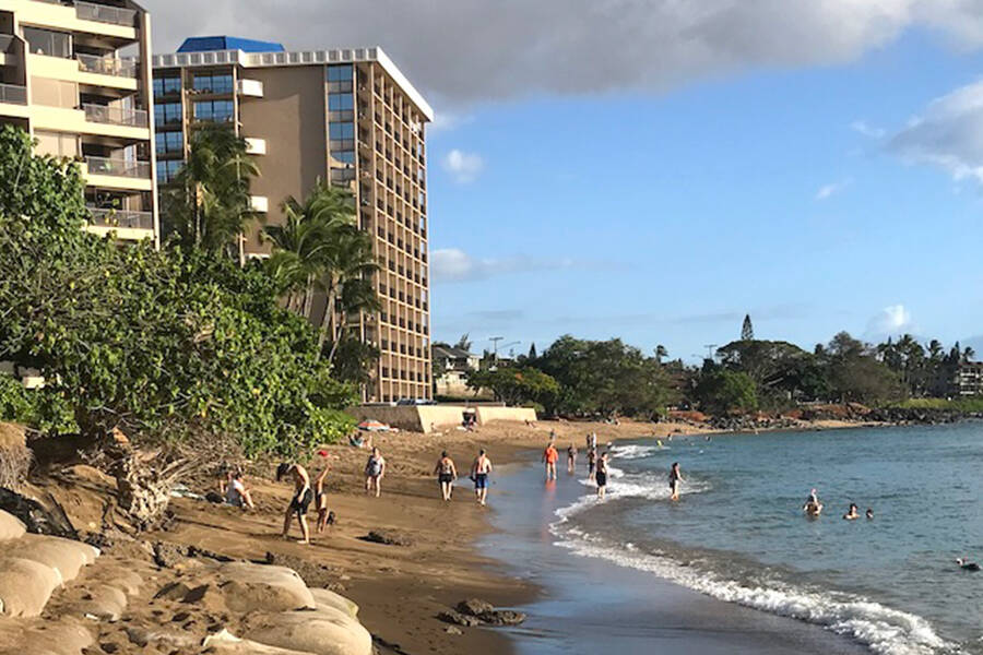 Sandbags along the Kahana Bay shoreline