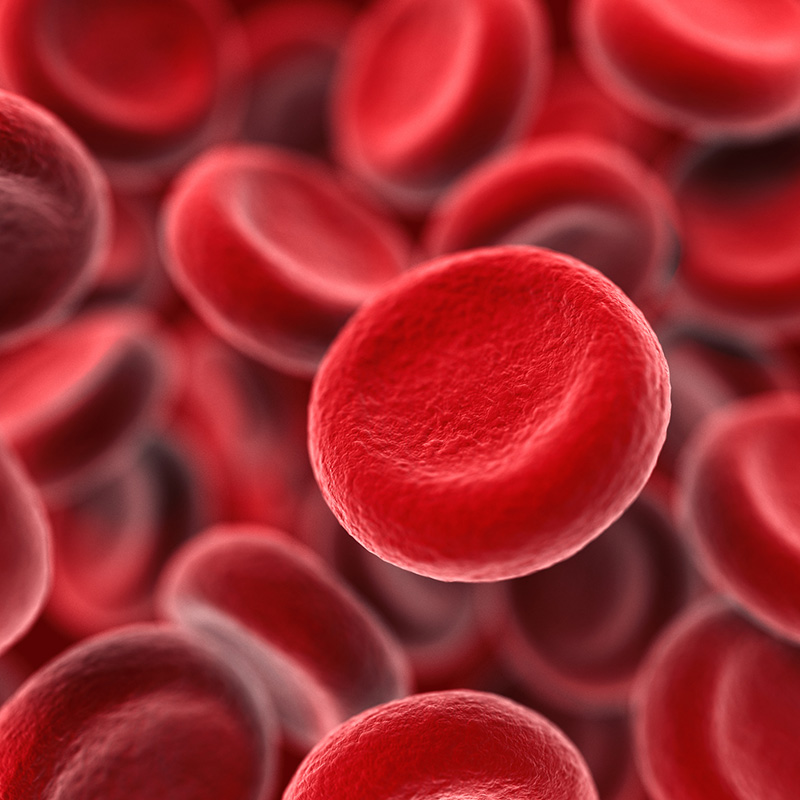 An illustrated graphic of 3D red blood cells