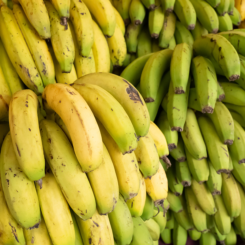 Bunches of yellow and green bananas